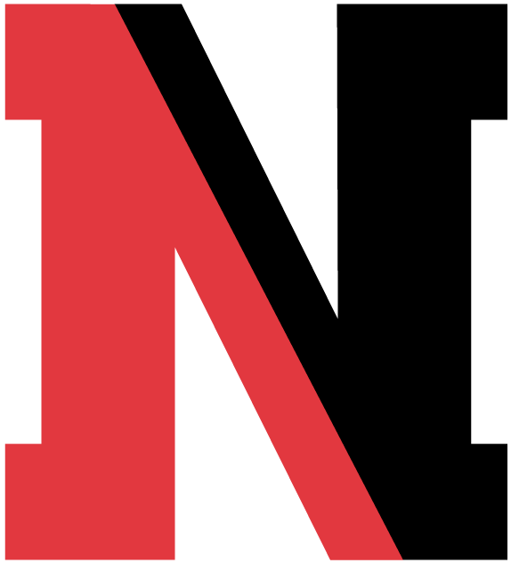 Northeastern Huskies 2004-2006 Alternate Logo iron on transfers for fabric